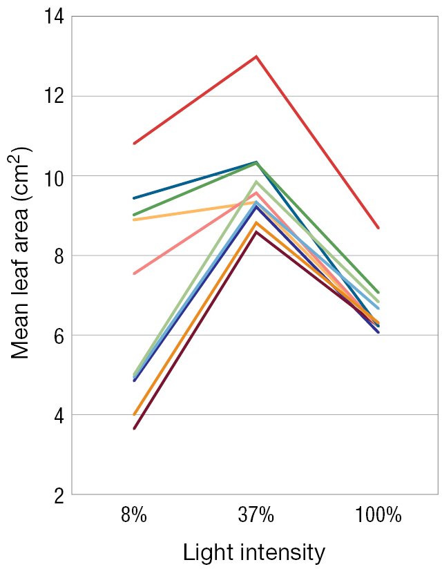 A line graph measuring Light intensity versus Mean leaf area in square centimeters.