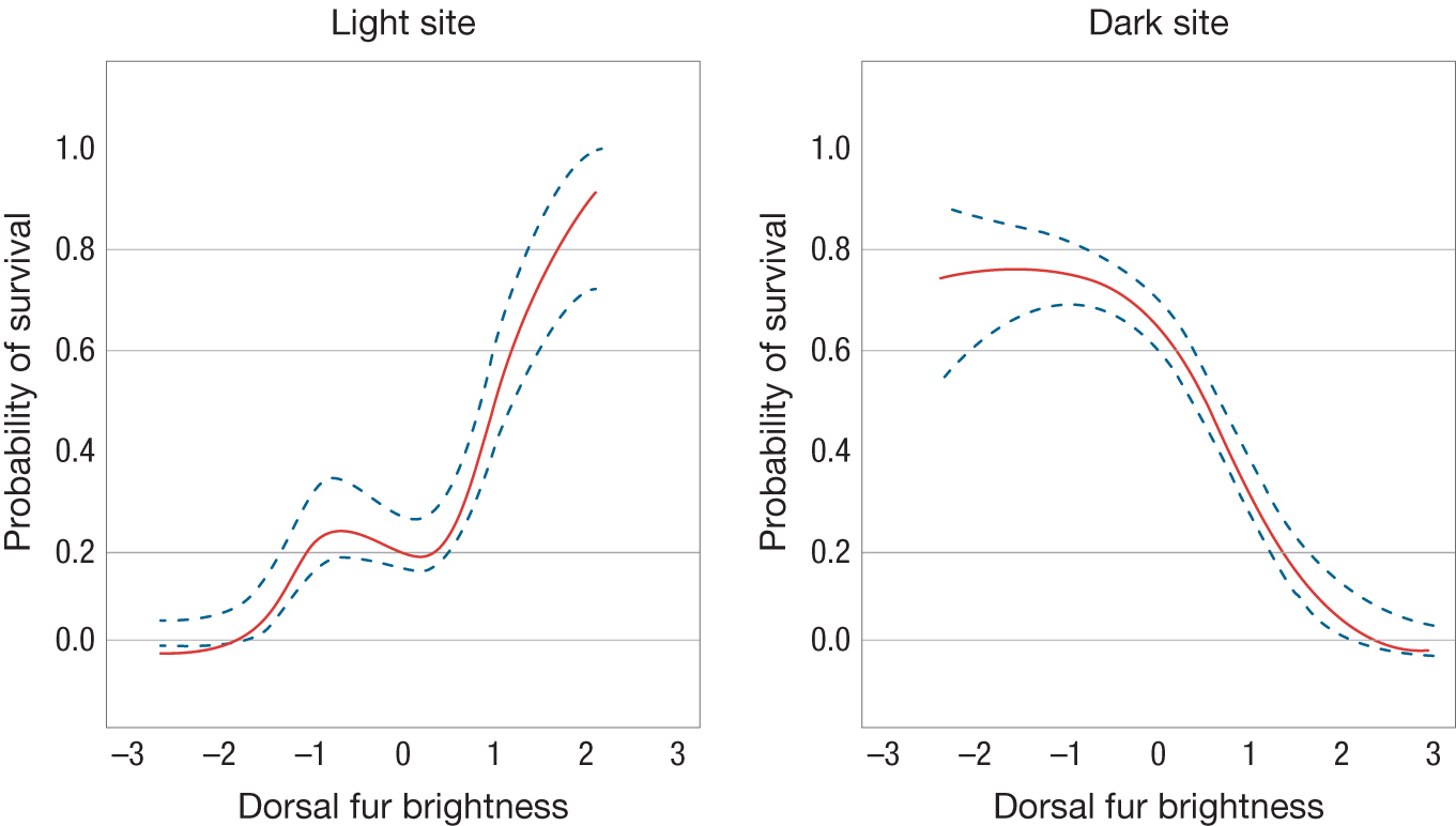 Two graphs relate dorsal fur brightness on the horizontal axis to probability of survival on the vertical axis.