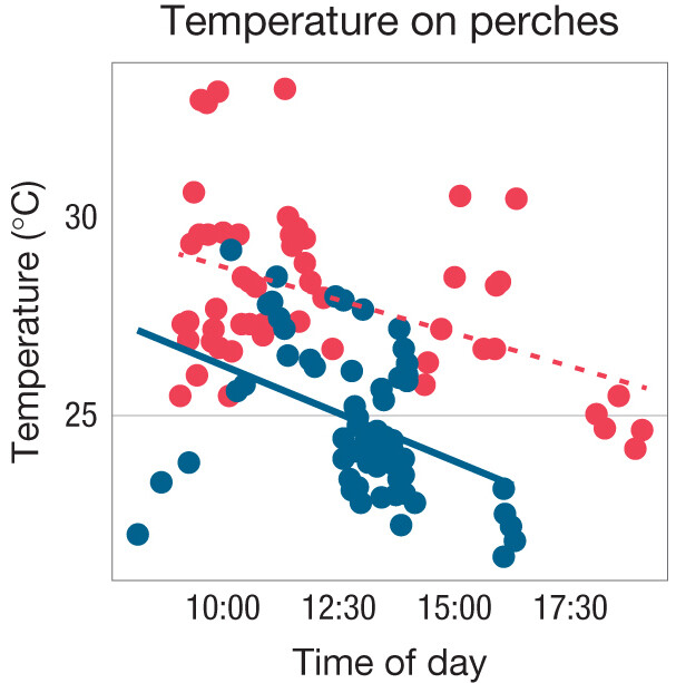 A scatterplot of Perch Temperature against time of day in urban and forest environments.