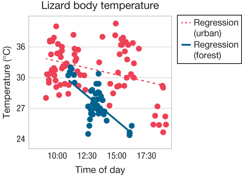 A scatterplot of Lizard Body Temperature against time of day in urban and forest environments.