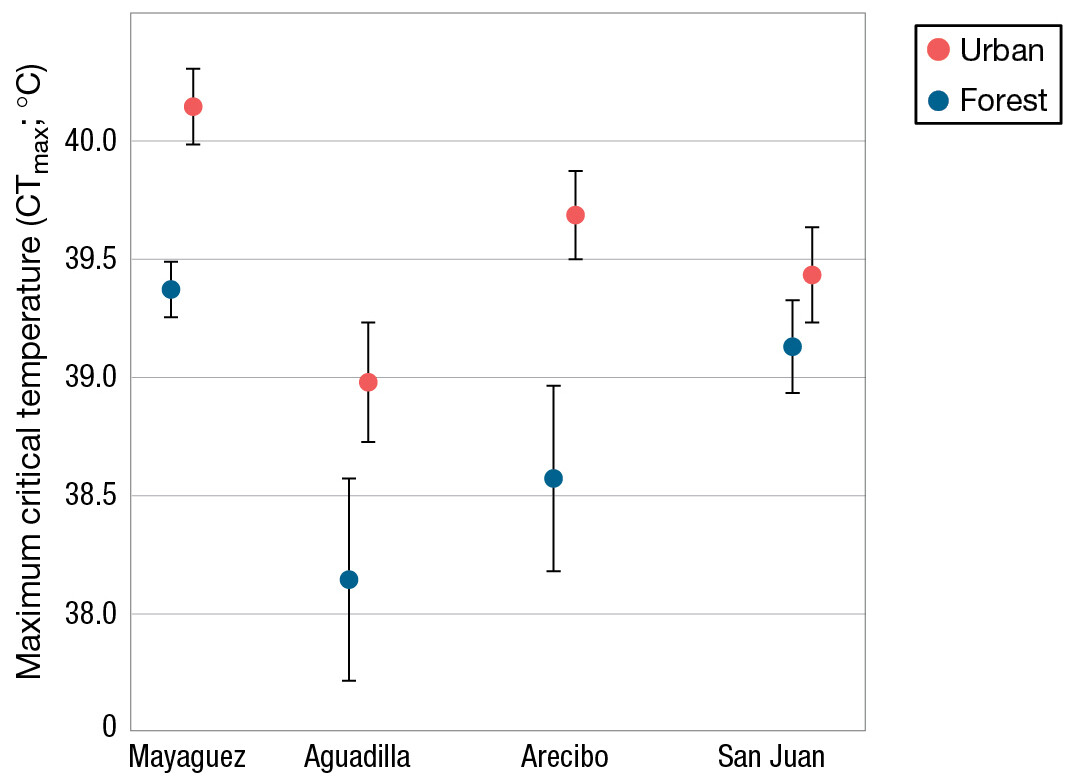 Maximum critical temperature for lizards in urban and forest settings in four different sites in Puerto Rico.