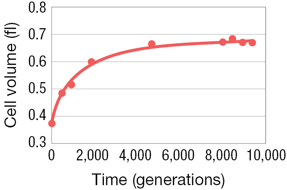 A line graph shows the change in volume of the E coli cell over time.
