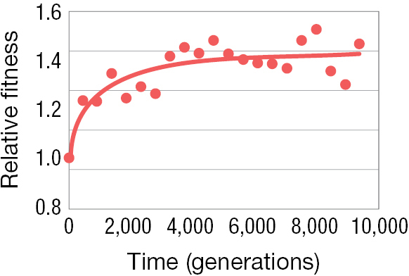 A line graph shows the relative fitness of the cell over time.