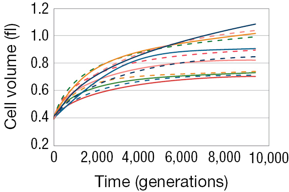 A line graph showing the cell size of 12 E coli lines.