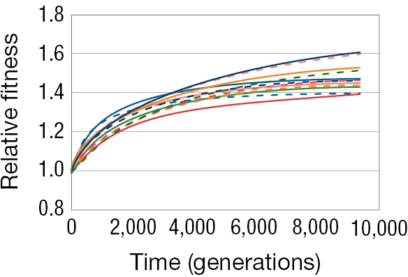A line graph showing the relative fitness of 12 E coli lines over time.