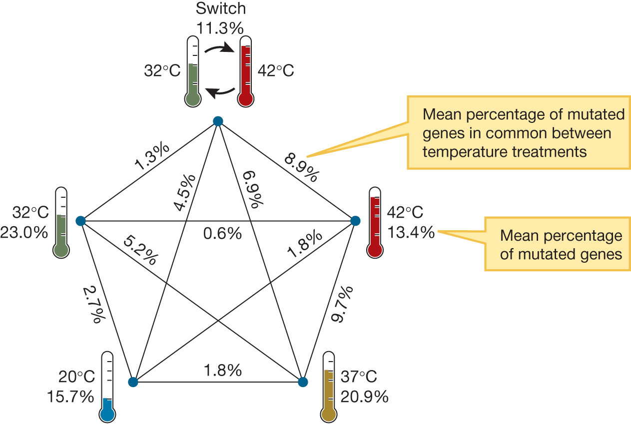 Genetic similarities and differences among five different temperature regimes.