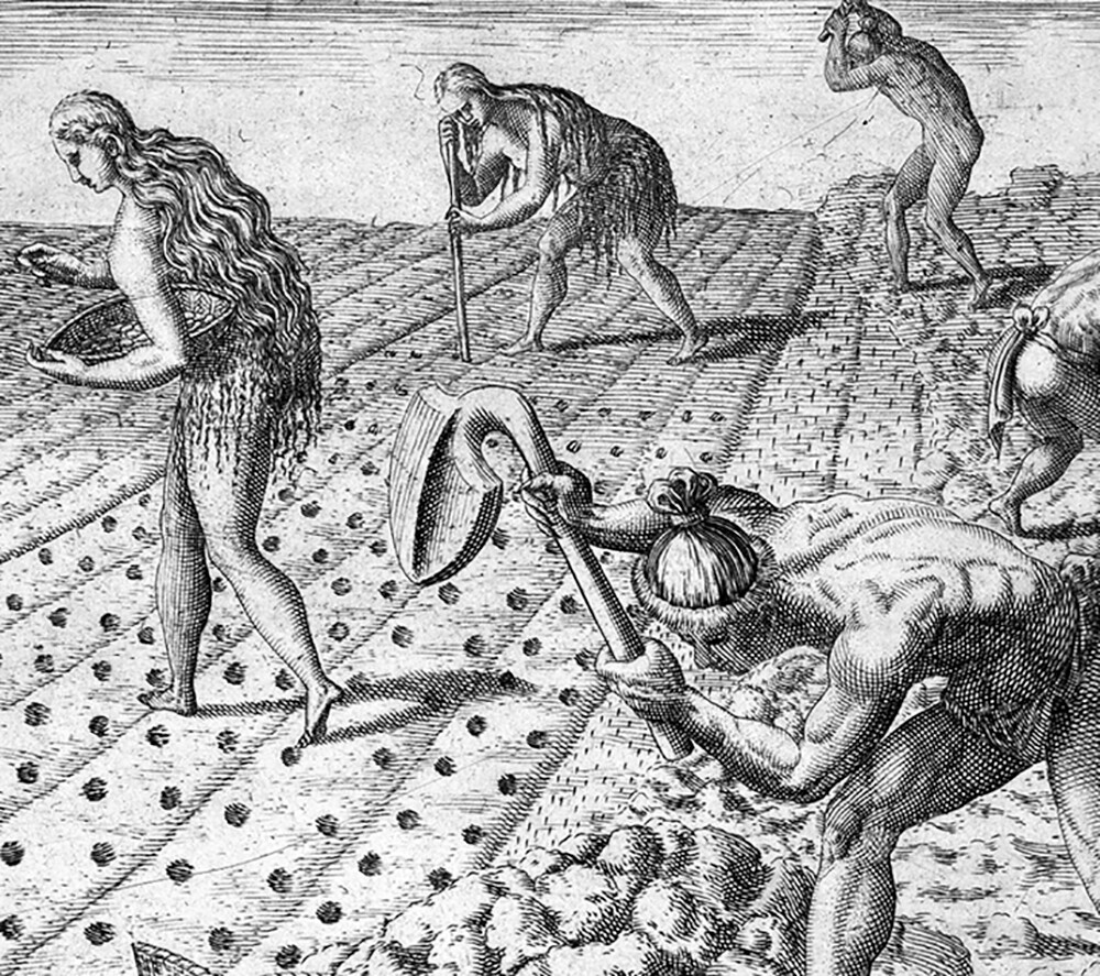 Historical illustration of enslaved people planting crops in rows under supervision.