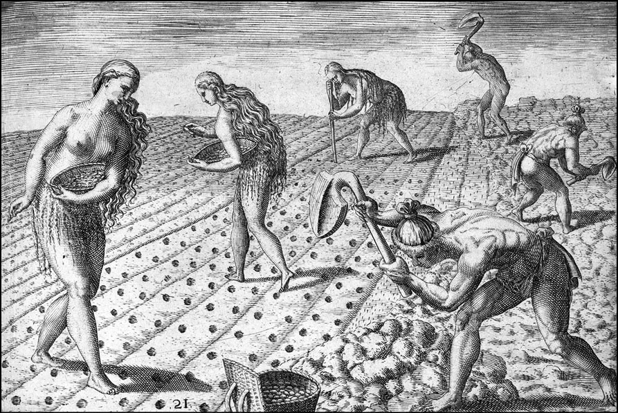 Indian women planting crops while men break the sod. An engraving by Theodor De Bry, based on a painting by Jacques Le Moyne de Morgues.