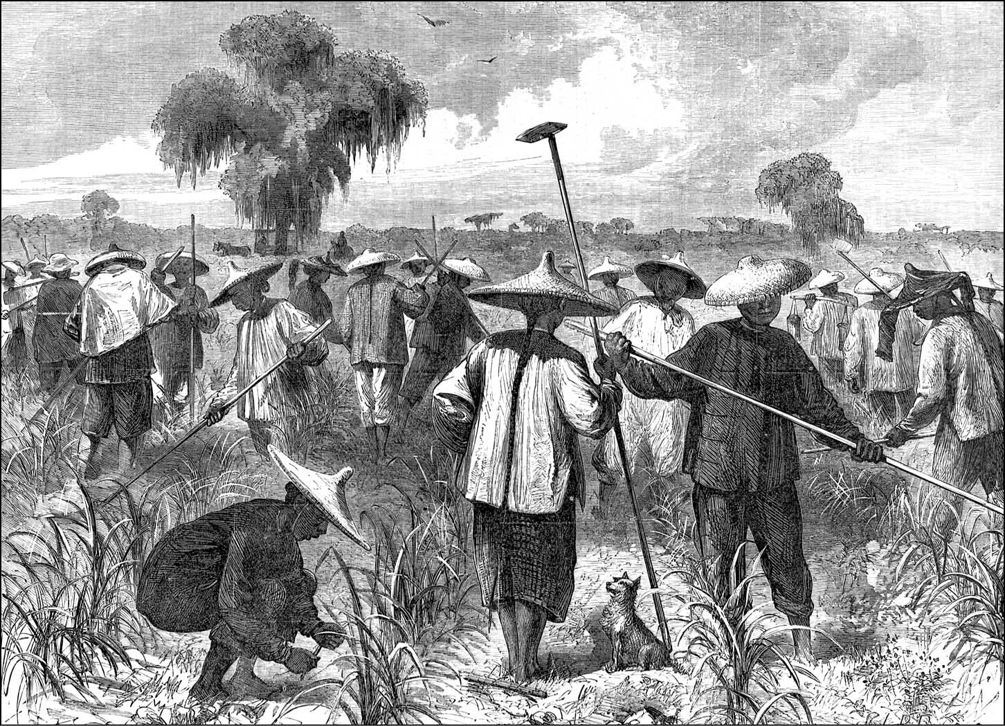 Engraving of laborers in rice field wearing hats, carrying tools, working in wet agricultural landscape.