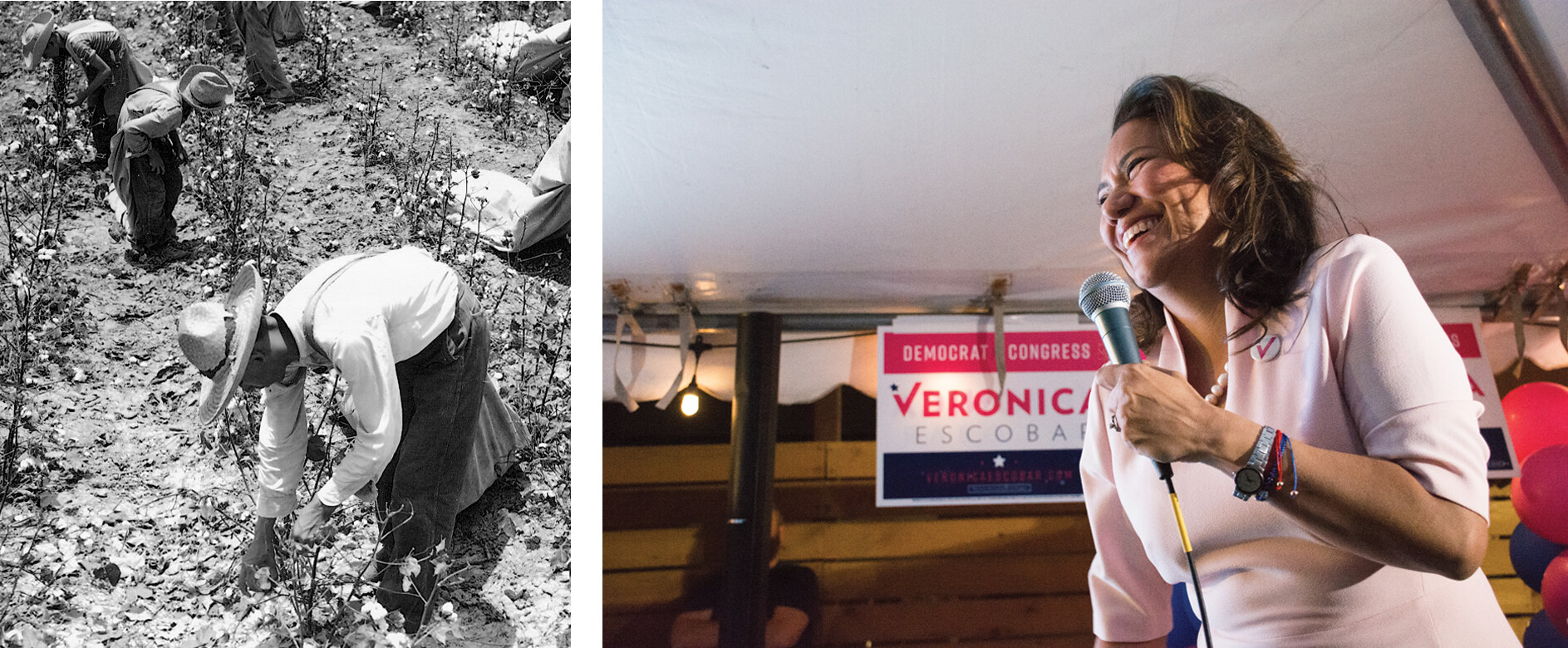 A black and white photograph shows men picking cotton.; Representative Veronica Escobar at a campaign event during the 2018 election season.