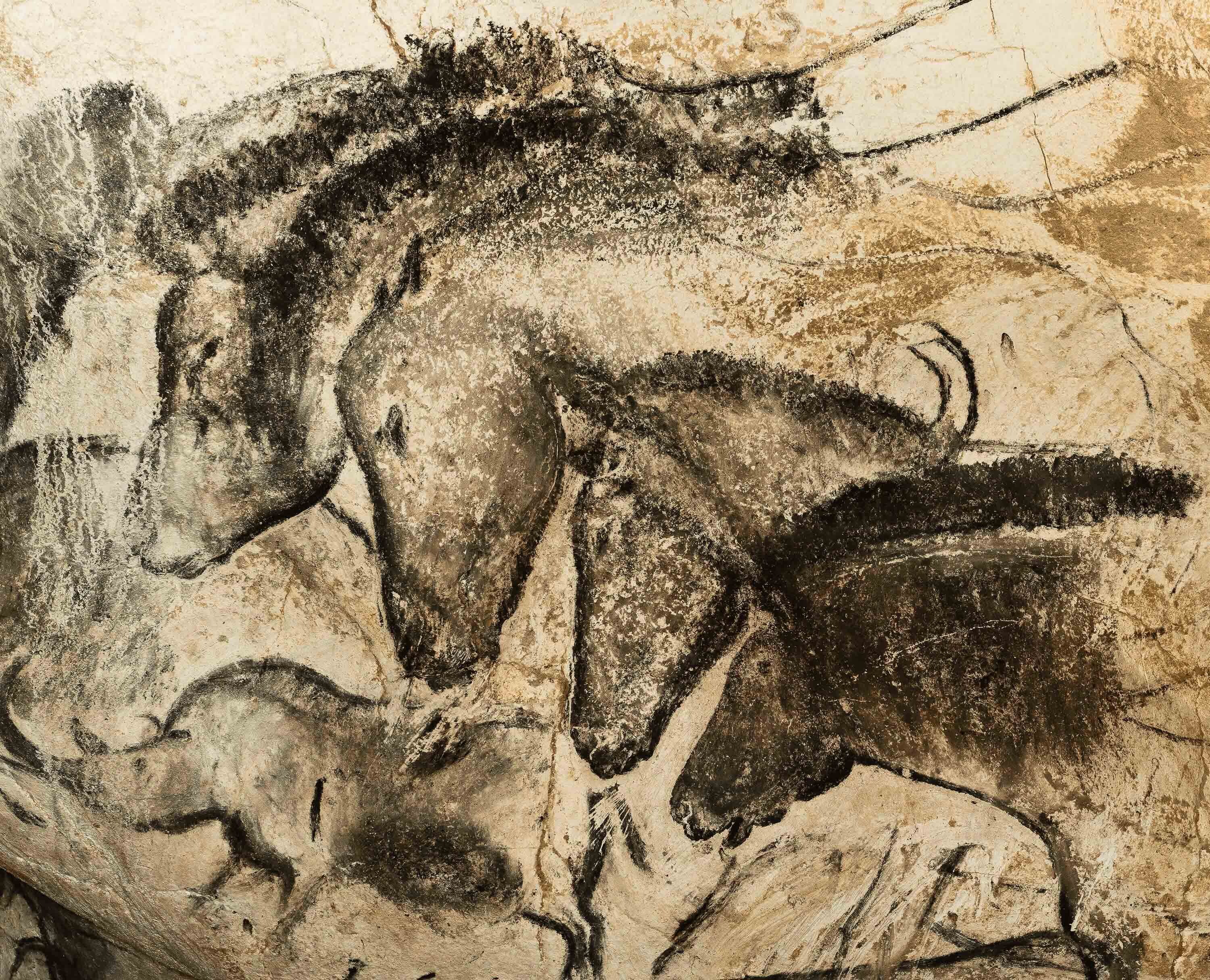 Charcoal drawing on cave wall. Four horses and a rhinoceros.