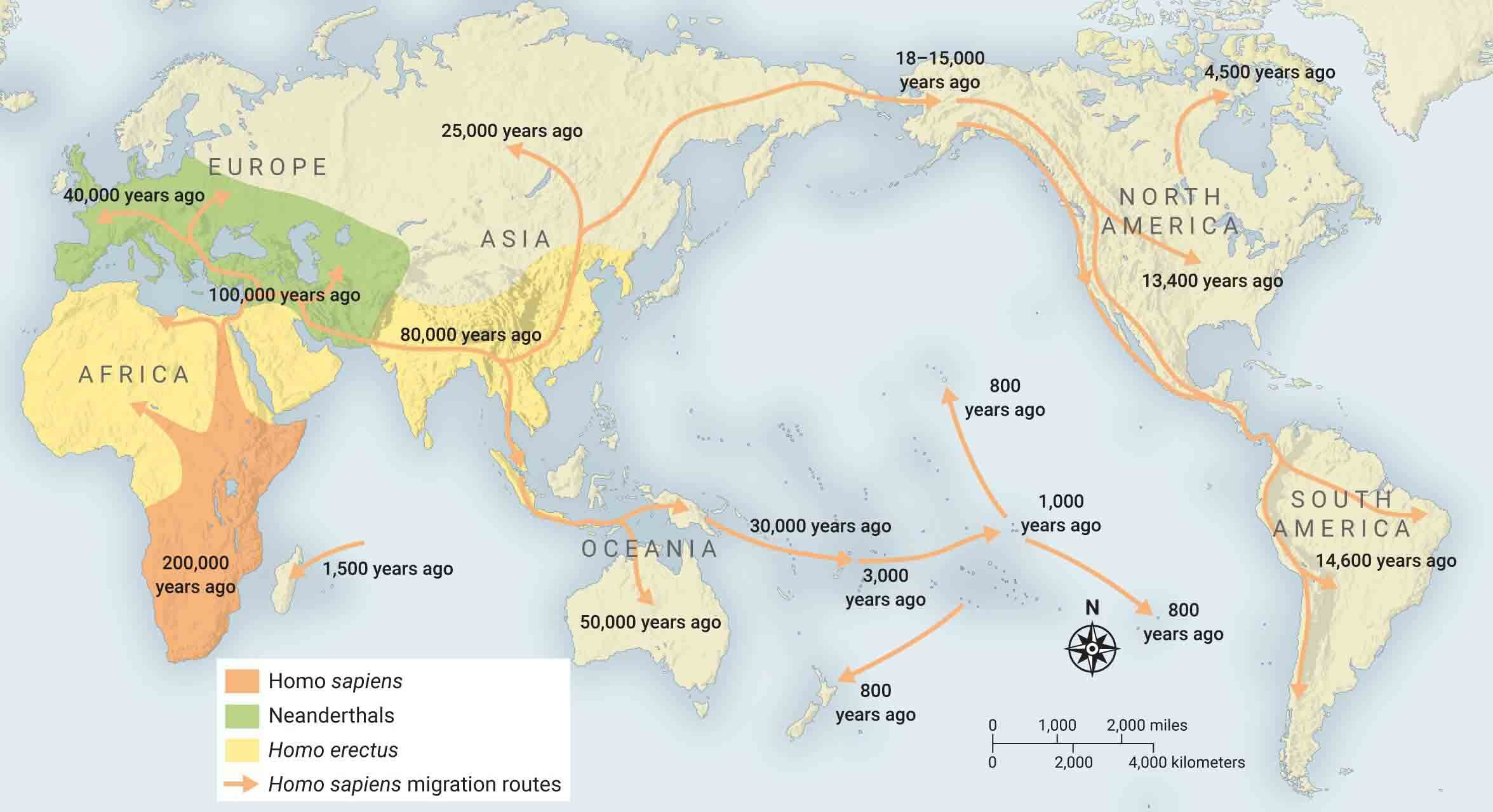 Map of global migration of modern humans, beginning in southern Africa.