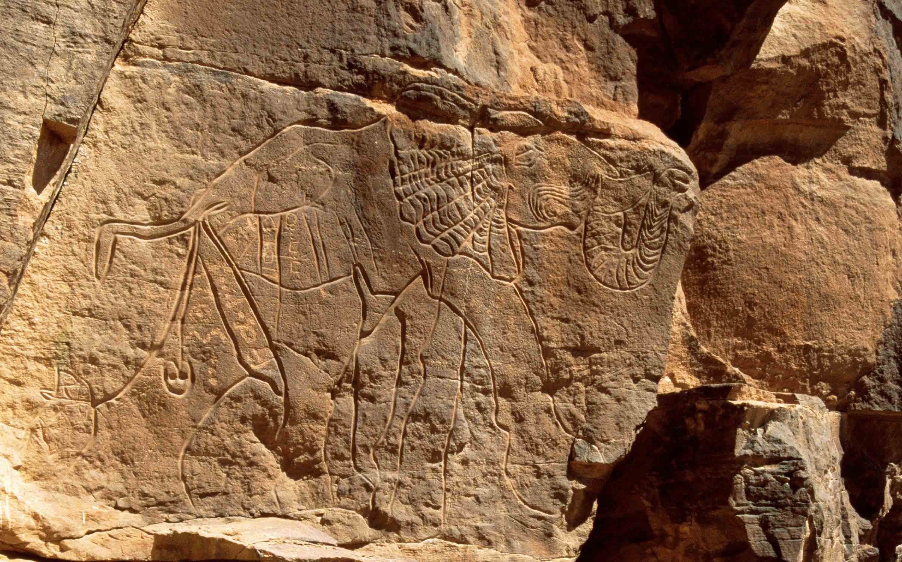 Rock face with relief carving of an elephant.