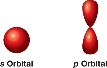 An illustration shows the space-filling models of a spherical s orbital and a dumbbell-shaped p orbital. The caption reads, �Orbitals: Orbitals represent regions in space where an electron is likely to be. An s orbital is spherical, and a p orbital is a dumbbell.�