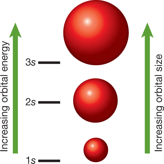 An illustration shows space-filling models of the 1s, 2s, and 3s orbitals in order of increasing orbital size and orbital energy. The 1s orbital is the smallest in size and has the least orbital energy. The 2s orbital is larger and has more orbital energy than the 1s orbital. The 3s orbital, which is the largest of these three, has the most orbital energy. The caption reads, �Relationship between principal quantum number, orbital size, and orbital energy: As the shell number of an orbital increases, its size and energy increase, too. The horizontal black lines indicate each orbital�s energy.�