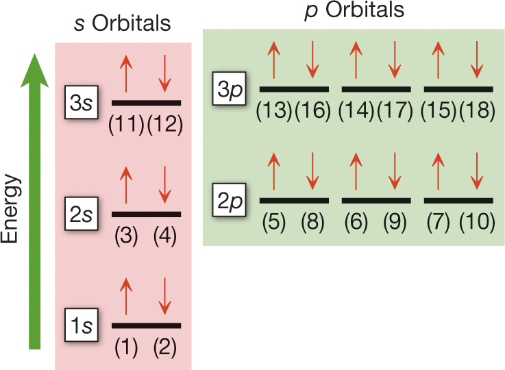 An energy diagram shows the order in which the first eighteen electrons fill into the s orbitals and p orbitals. An upward arrow indicates increasing energy levels. Beside the arrow is a block representing the s orbitals in order of increasing energy, with the 1s orbital at the lowest end, the 2s orbital above it, and the 3s orbital further above. Beside this block is another representing the p orbitals, with three 2p orbitals located slightly above the level of the 2s orbital, and three 3p orbitals located slightly above the level of the 3s orbital. The first two electrons occupy the 1s orbital and the next two occupy the 2s orbital. The fifth, sixth, and seventh electrons occupy each of the three 2p orbitals in order, and the eighth, ninth, and tenth electrons pair up with the three previous electrons respectively. The eleventh and twelfth electrons occupy the 3s orbital, and the thirteenth, fourteenth, and fifteenth electrons occupy each of the three 3p orbitals in order. The sixteenth, seventeenth, and eighteenth electrons pair up with the three previous electrons respectively. Each electron pair is represented by a pair of opposing vertical arrows. The caption reads, �Energy diagram of atomic orbitals for the first 18 electrons: The order of electron filling is indicated in parentheses. Each horizontal black line represents a single orbital. Each successive electron fills the lowest energy orbital available. Notice in the 2p and 3p sets of orbitals that no electrons are paired up until the addition of the fourth electron.�