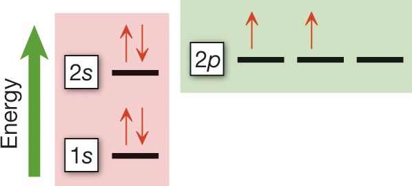 An energy diagram shows how the six electrons in a carbon atom fill the s orbitals and p orbitals. An upward arrow indicates increasing energy levels. Beside the arrow is a block representing the s orbitals in order of increasing energy, with the 1s orbital at the lowest end and the 2s orbital above it. Beside this block is another representing the p orbitals, with three 2p orbitals located slightly above the level of the 2s orbital. The first two electrons occupy the 1s orbital and the next two occupy the 2s orbital. The fifth and sixth electrons occupy two of the three 2p orbitals in order. Each electron pair is represented by a pair of opposing vertical arrows, and the fifth and sixth electrons are each represented by an upward arrow. The caption reads, �Energy diagram for the ground state electron configuration of the carbon atom: This configuration is abbreviated 1s2 2s2 2p2.�