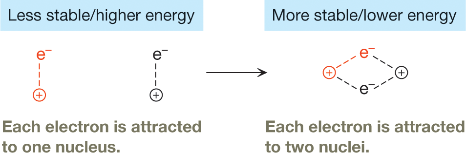 An illustration shows the formation of a covalent bond between two separate hydrogen atoms. Each of the two isolated hydrogen nuclei is bonded to one electron. This state signifies lower stability and higher energy. A covalent bond between the two atoms results in each electron being attracted to both the hydrogen nuclei. This state signifies higher stability and lower energy, and is represented by a quadrilateral with the two electrons and the two hydrogen nuclei at opposite corners. The caption reads, Stabilization of electrons in a covalent bond: In an isolated hydrogen atom, the electron is attracted to a single nucleus. In a covalent bond, electrons are attracted simultaneously to two hydrogen nuclei, thus lowering the energy of each electron.