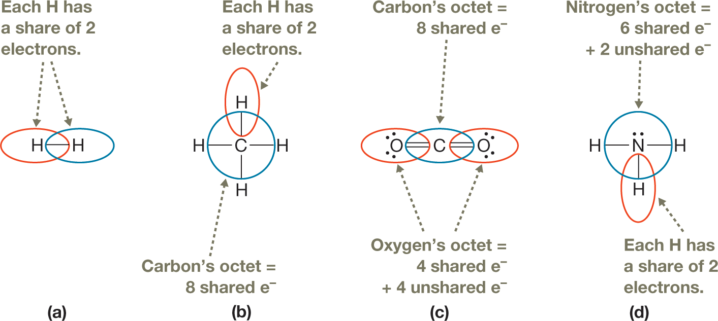 Four illustrations show covalent bonding in various molecules, with the octet for the atoms represented by circles. The first illustration shows a hydrogen molecule where two hydrogen atoms are connected by a single bond. Each hydrogen atom has a share of the two electrons in the bond, and the octet circle for each atom includes the bond. The second illustration shows a methane molecule where a carbon atom is bonded to four hydrogen atoms by single bonds. The carbon�s octet includes the eight shared electrons, and the circle representing this octet includes four bonds connecting it to the hydrogen atoms. The hydrogen�s octet includes the bond connecting it to the carbon atom. The third illustration shows a carbon dioxide molecule where a carbon atom is double-bonded to two oxygen atoms in a linear fashion. The carbon�s octet includes the eight shared electrons, and the circle representing this octet includes two double bonds connecting it to the two oxygen atoms. Each oxygen�s octet includes four shared electrons and four unshared electrons, which are represented by dots. The fourth illustration shows an ammonia molecule where a nitrogen atom is bonded to three hydrogen atoms by single bonds. The nitrogen�s octet includes the six shared electrons and two unshared electrons, which are represented by dots. The circle representing this octet includes the bonds connecting it to the hydrogen atoms. The hydrogen�s octet includes the bond connecting it to the nitrogen atom. The caption reads, Covalent bonding: Sharing electrons to produce full valence shells: In each of these molecules, all atoms have completely filled valence shells: Hydrogen has a share of two electrons, whereas carbon, oxygen, and nitrogen each have an octet of electrons made up of a total of 8 shared and unshared valence electrons.