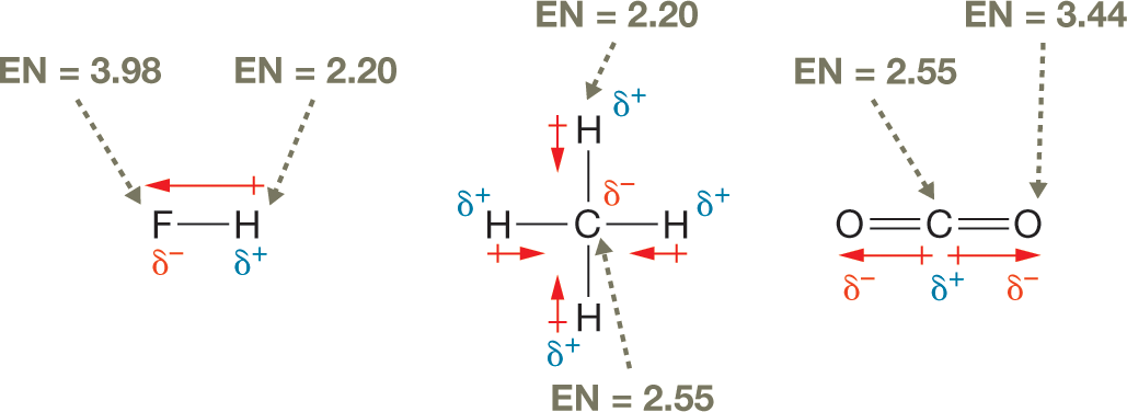 Condensed structural formulae of three molecules marking the bond dipole between atoms. The first condensed structure shows a fluorine atom single bonded to a hydrogen atom. The dipole arrow points away from the hydrogen atom and toward the more electronegative fluorine atom. The hydrogen atom has a partial positive charge, delta plus, and the fluorine atom has a partial negative charge, delta minus. The electronegativity of hydrogen is marked as 2.20 and fluorine as 3.98. The second condensed structure shows a central carbon atom, single bonded to four hydrogen atoms. The dipole arrows point away from the four hydrogen atoms and toward the more electronegative carbon atom. The hydrogen atoms have partial positive charges, delta plus, and the carbon has a partial negative charge, delta minus. The electronegativity of hydrogen is marked as 2.20 and carbon as 2.55. The third condensed structure shows a central carbon atom, double bonded to two oxygen atoms. The dipole arrow points away from the carbon atom and towards the more electronegative oxygen atoms. The carbon atom has a partial positive charge, delta plus, and the oxygen atoms have partial negative charges, delta minus. The electronegativity of carbon is marked as 2.55 and oxygen as 3.44. The caption reads, Bond dipoles in various molecules: The dipoles are represented by the red arrows. Each arrow points from the less electronegative atom, delta plus, toward the more electronegative atom, delta minus. The length of the arrow indicates the relative magnitude of the bond dipole. EN equals electronegativity.