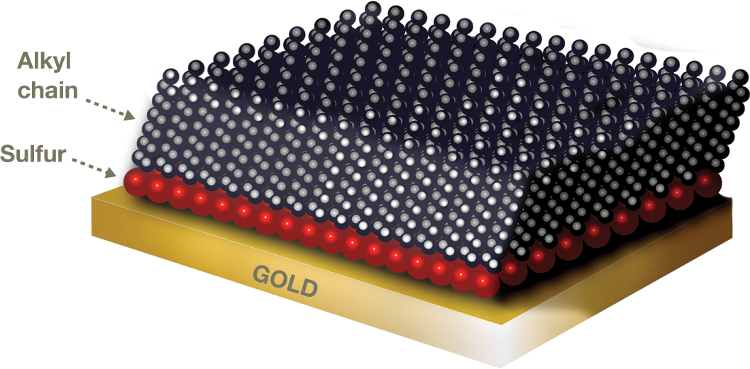 A space-filling model shows layers of alkyl chains above a single layer of sulfur atoms, which lies above a layer of gold.