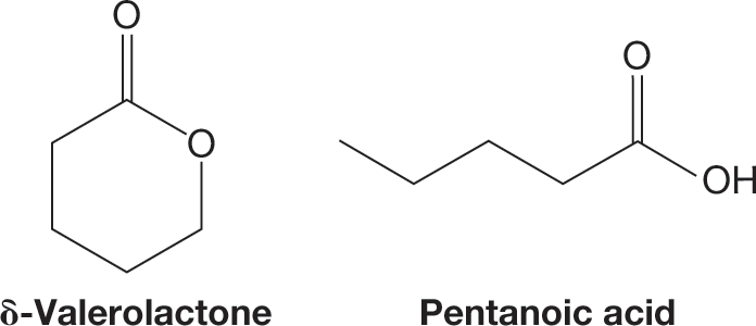 Two skeletal structural formulas show delta-Valerolactone and pentanoic acid. The skeletal structural formula of delta-Valerolactone shows a hexagonal ring with five carbon atoms and one oxygen atom. An oxygen atom is double-bonded to the carbon atom in the second position. The structure of pentanoic acid shows a zigzag line with three crests and three troughs. An oxygen atom is double-bonded to the carbon atom in the first position and a hydroxyl group occupies the position at the first trough.