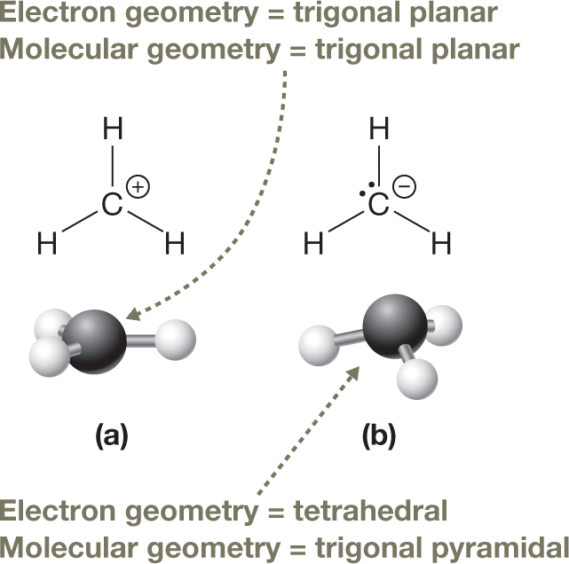 Lewis structure and ball-and-stick model of methyl cation and methyl anion. The structural formula represents the electron geometry of the ion, while the ball-and-stick model represents the molecular geometry. The structure of the methyl cation and anion both show a central carbon atom bonded to three hydrogen atoms. The carbon atom carries a positive charge in the cation, and a negative charge with a lone pair in the anion. The electron geometry and molecular geometry of the methyl cation are both trigonal planar, while in the methyl anion, the electron geometry is tetrahedral and the molecular geometry is trigonal pyramidal. The caption reads, Lewis structures and three-dimensional geometries of the methyl cation and methyl anion: The central C atom in CH13 is surrounded by three single bonds only with no lone pairs, so its electron and molecular geometries are the same. The central C atom in CH23, on the other hand, is surrounded by three single bonds and one lone pair, so its electron and molecular geometries are different.