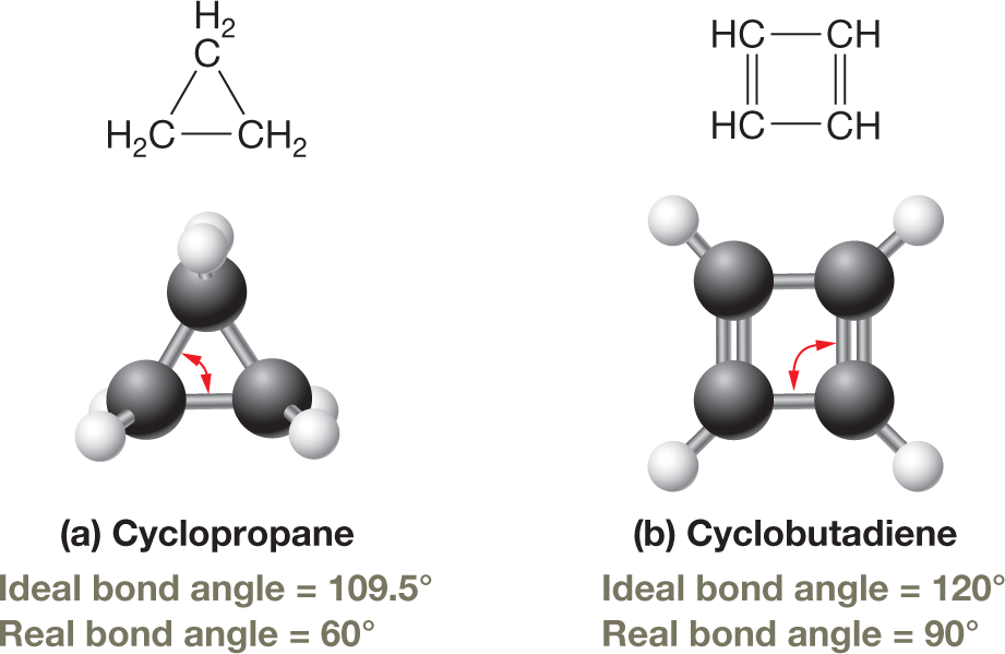 Condensed structural formulas and ball-and-stick models of cyclopropane and cyclobutadiene. The structural formula and ball-and-stick model of cyclopropane show three carbon atoms bonded in a triangular manner. A note below the illustrations reads: �Ideal bond angle equals 109.5 degrees. Real bond angle equals 60 degrees.� The structural formula and ball-and-stick model of cyclobutadiene show four carbon atoms bonded in a square fashion with alternating single and double bonds. A note below the illustrations reads: �Ideal bond angle equals 120 degrees. Real bond angle equals 90 degrees.� The caption reads, Examples of angle strain: In cyclopropane, the ideal C-C-C bond angle is 109.5 degrees, but the actual angle is 60 degrees. In cyclobutadiene, the ideal C-C-C bond angle is 120 degrees but the actual angle is 90 degrees.