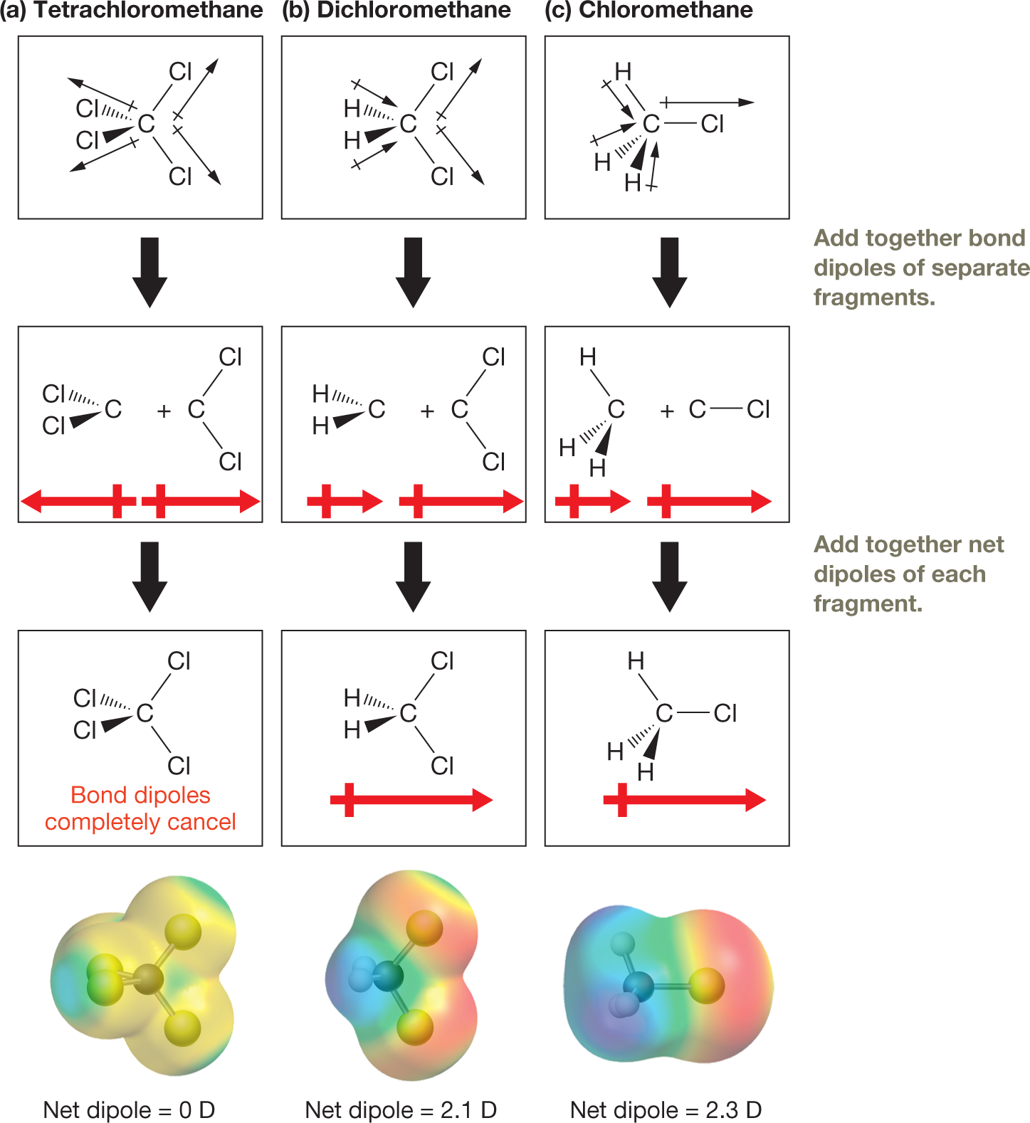 An illustration shows the steps involved in the vector addition of tetrachloromethane, dichloromethane, and chloromethane. The illustration is divided into three columns, one for tetrachloromethane, the second for dichloromethane, and the third for chloromethane. Each column has three boxes with arrows leading from the previous one to the next. Below the third box in each column is an electrostatic potential map of the molecule. A note between the first and second rows of boxes reads �Add together bond dipoles of separate fragments.� A note between the second and third rows of boxes reads �Add together net dipoles of each fragment.� The condensed structural formula of tetrachloromethane shows a central carbon atom bonded to two chlorine atoms on its upper right and lower right sides by solid lines, to a third chlorine atom on its lower left side by a solid wedge, and to a fourth chlorine atom on its upper left side by a dashed wedge. The condensed structural formula of dichloromethane shows a central carbon atom bonded to two chlorine atoms on its upper right and lower right sides by solid lines, to a hydrogen atom on its lower left side by a solid wedge, and to another hydrogen atom on its upper left side by a dashed wedge. The condensed structural formula of chloromethane shows a central carbon atom bonded to a chlorine atom on its right by a solid line, to a hydrogen atom on its upper left by a solid line, and to two hydrogen atoms on its lower left by a solid wedge and a dashed wedge. The first box in the tetrachloromethane column shows four thin black arrows, each pointing from the central carbon to the chlorine atoms. The second box shows the structure split into two portions with a plus sign between them. One portion shows the carbon atom bonded to two chlorine atoms by a solid wedge and a dashed wedge, and the other portion shows a carbon atom bonded to two chlorine atoms by solid lines. Below these portions are two thick red arrows of equal length pointing away from one another. The third box shows a molecule of tetrachloromethane with a note that reads, �Bond dipoles completely cancel.� The electrostatic potential map of tetrachloromethane shows a triangular cloud with green portions around the chlorine atoms and yellow in the center. The first box in the dichloromethane column shows two thin black arrows, each pointing from the central carbon to the chlorine atoms, and two thin black arrows, each pointing toward the central carbon atom from the hydrogen atoms. The second box shows the structure split into two portions with a plus sign between them. One portion shows the carbon atom bonded to two hydrogen atoms by a solid wedge and a dashed wedge, and the other portion shows a carbon atom bonded to two chlorine atoms by solid lines. Below the first portion is a short, thick red arrow pointing to the right, and below the second is a longer thick red arrow pointing to the right. The third box shows a molecule of dichloromethane with a long, thick red arrow pointing to the right. The electrostatic potential map of dichloromethane shows a triangular cloud shaded in red around the areas representing the chlorine atoms, and in blue around the areas representing the hydrogen atoms. The central portion, from left to right, is shaded in turquoise, green, and yellow. The first box in the chloromethane column shows a thin black arrow pointing from the central carbon to the chlorine atom, and three thin black arrows, each pointing toward the central carbon atom from the hydrogen atoms. The second box shows the structure split into two portions with a plus sign between them. One portion shows the carbon atom bonded to three hydrogen atoms by a solid line, a solid wedge, and a dashed wedge, and the other portion shows a carbon atom bonded to a chlorine atom by a solid line. Below the first portion is a short, thick red arrow pointing to the right, and below the second is a longer thick red arrow pointing to the right. The third box shows a molecule of chloromethane with a long, thick red arrow pointing to the right. The electrostatic potential map of chloromethane shows a dumbbell-shaped cloud shaded in red around the areas representing the chlorine atom, and in blue around the areas representing the hydrogen atoms. The central portion, from left to right, is shaded in turquoise, green, and yellow. The caption reads, Vector addition of bond dipoles in tetrahedral molecules: a. Tetrachloromethane, b. dichloromethane, and c. chloromethane all have a tetrahedral molecular geometry. Individual bond dipoles are shown in the top row. The molecule is split into its constituent parts in the second row, and the net dipole of each part is indicated by the thick red arrow. In the third row, the net dipole of the entire molecule is indicated. The bottom row shows each species� electrostatic potential map.