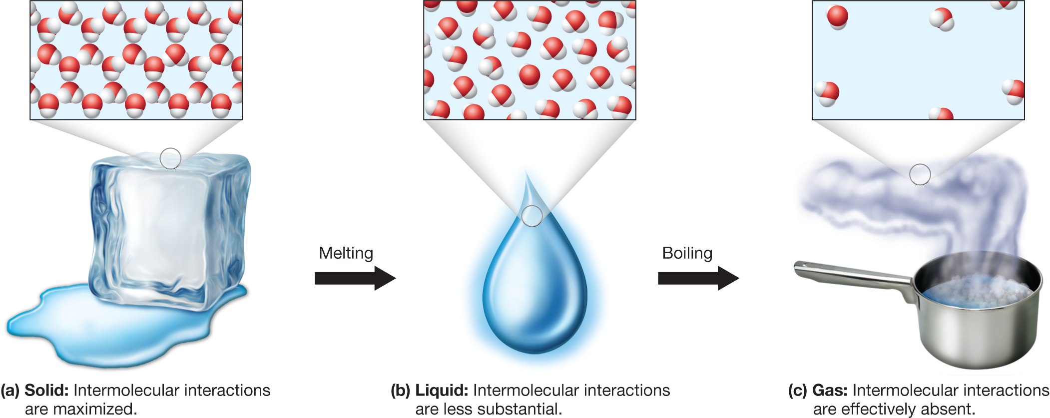 A three-part illustration shows the molecular arrangement in the three different states of water. The first part shows a block of ice with a microscopic view depicting closely spaced molecules of water. A note below it reads, �Solid: Intermolecular interactions are maximized.� An arrow labeled �Melting� leads to the next part of the illustration. The second part shows a droplet of water with a microscopic view depicting loosely spaced molecules of water. A note below it reads, �Liquid: Intermolecular interactions are less substantial.� An arrow labeled �Boiling� leads to the final part of the illustration. The third part shows water boiling in a pan with a microscopic view depicting the molecules of water dispersed widely. A note below it reads, �Gas: Intermolecular interactions are effectively absent.� The caption reads, Microscopic structure of the three phases of matter: a. In a crystalline solid, molecules or ions form a well-ordered structure called a crystal lattice, in which movement is limited to vibration and intermolecular forces are maximized. b. In a liquid, molecules are free to move around, because intermolecular forces are somewhat less substantial. c. In the gas phase, molecules are so far apart that intermolecular forces are effectively absent.