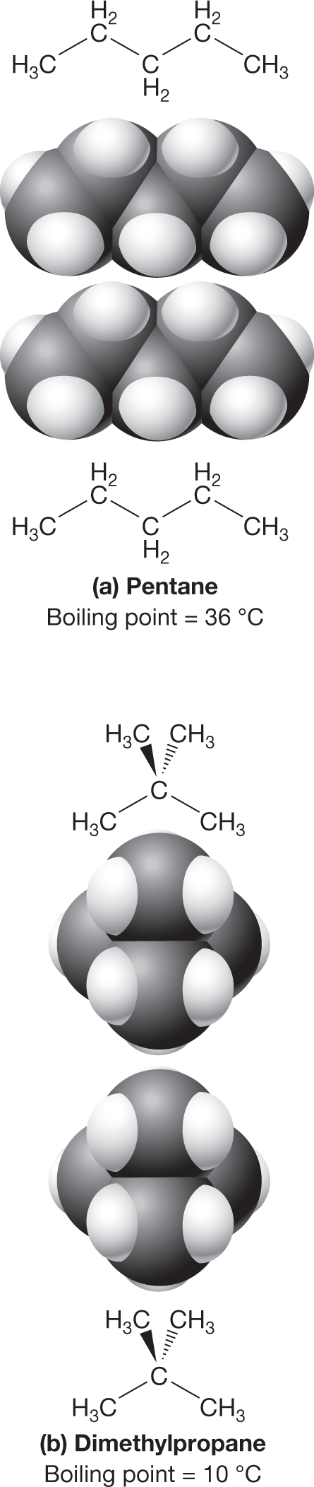 Two illustrations show the condensed structural formulas and space-filling models of a pair of pentane molecules and dimethylpropane molecules. The first illustration shows the structure of two molecules of pentane, one above the other, with the space-filling models in between. The structure shows a five-carbon chain with carbons 1 and 5 each bonded to three hydrogen atoms, and carbons 2, 3, and 4 each bonded to two hydrogen atoms. The second illustration shows the structure of two molecules of dimethylpropane, one above the other, with the space-filling models in between. The structure shows a three-carbon chain with carbons 1 and 3 each bonded to three hydrogen atoms, and carbon 2 bonded to two methyl groups, one pointing away from the reader and one pointing toward. The caption reads, �Contact surfacearea and induced dipole�induceddipole interactions: The contactsurface area between two moleculesof pentane a is greater thanthat between two molecules ofdimethylpropane b. The result isstronger induced dipole�induceddipole interactions in pentane and acorrespondingly higher boiling point.�