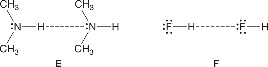 Lewis structures of two pairs of molecules labeled E and F. The first pair shows two molecules, each with a nitrogen atom carrying a lone pair of electrons bonded to a hydrogen atom and two methyl groups. A dashed line representing a hydrogen bond connects the nitrogen atom in the second molecule with the hydrogen atom in the first. The second pair shows two molecules, each with a fluorine atom carrying three lone pairs of electrons bonded to a hydrogen atom. A dashed line representing a hydrogen bond connects the fluorine atom in the second molecule with the hydrogen atom in the first.