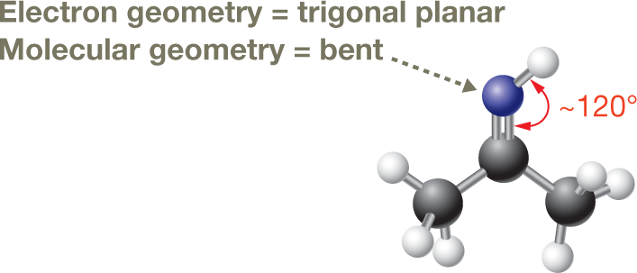 An illustration shows the ball-and-stick model of a molecule. The model shows a bent three-carbon chain, where the carbon atoms are represented by black spheres. Carbons 1 and 3 are each bonded to three hydrogen atoms, represented by white spheres, and carbon 2 is bonded to an amine group by a double bond. The nitrogen atom in the amine group is represented by a blue sphere. The angle between the double bond and the nitrogen-hydrogen bond is marked as 120 degrees approximately. An arrow pointing to the structure reads, �Electron equals trigonal planar. Molecular equals bent.�