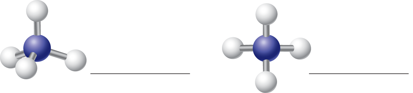 An illustration shows two ball-and-stick models of ammonium cation from different angles with a space next to each model. The first ball-and-stick model shows a nitrogen atom bonded to three hydrogen atoms by single bonds. Two of the N-H bonds are in the plane of the paper, one N-H bond is pointed away from the reader, and the other N-H bond is pointed toward the reader. The second ball-and-stick model shows the same molecule in a different angle, with two N-H bonds pointing toward the reader and two N-H bonds pointing away from the reader.