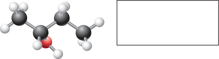 Ball-and-stick model of butan-2-ol, with an empty box provided beside it. The ball-and-stick model shows four carbon atoms bonded together in a zigzag fashion. Carbon 2 is bonded to a hydroxyl group where the C-O bond points away from the reader.