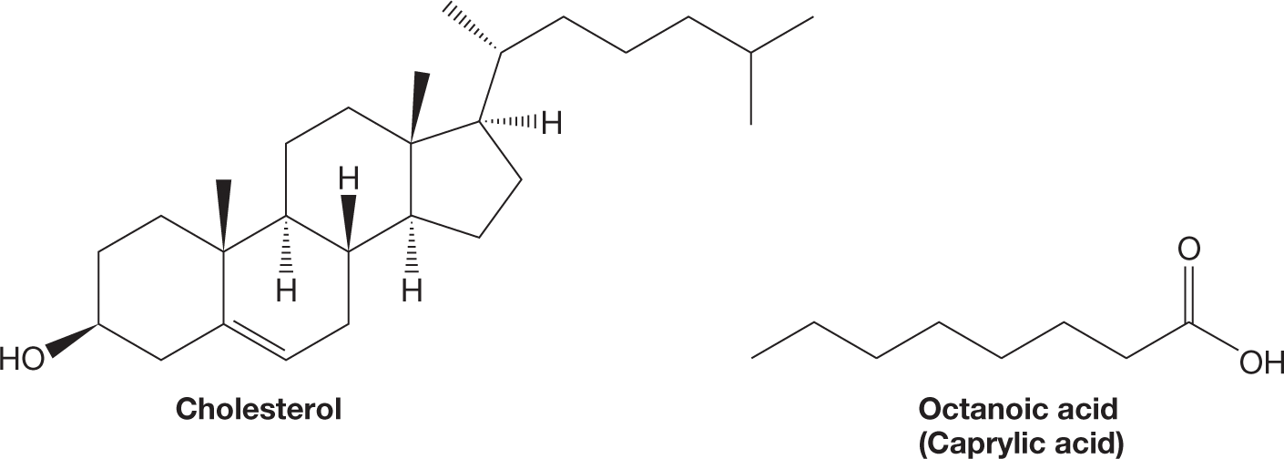 Two condensed skeletal formulas show a molecule of cholesterol and octanoic acid. The dash-wedge structure of cholesterol shows two hexagonal six-carbon rings fused together. The second ring is fused with a third hexagonal ring in a bent fashion. The third ring is fused with a pentagonal five-carbon ring beside it. Double bonds exist between carbons 5 and 6. Carbon 3 is bonded to a hydroxyl group, and carbons 10, 13, and 25 are each bonded to a methyl group. Carbon 17 is bonded to carbon 20, which is in the second position in a zigzag seven-carbon chain. Solid wedges connect carbon 3 and the hydroxyl group, carbon atoms 10 and 19, carbon atom 8 and a hydrogen atom, and carbons 13 and 18. Dashed wedges connect carbon atom 9 and a hydrogen atom, carbon atom 14 and a hydrogen atom, carbon atom 17 and a hydrogen atom, and carbons 20 and 21. The structure of octanoic acid, also known as caprylic acid, shows a zigzag eight-carbon chain where carbon 1 is part of a carboxyl group.