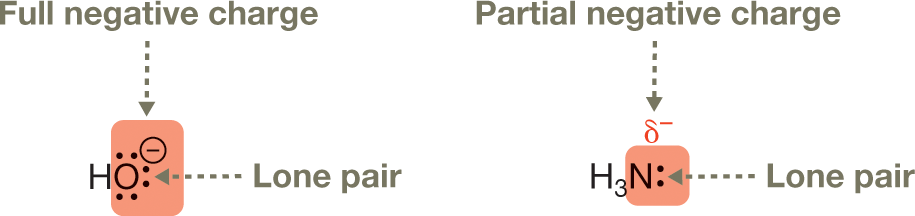 An illustration represents a full negative charge hydroxyl group and a partial negative charge on an amine group. It shows an oxygen atom of full negative charge on hydroxyl group carrying three lone pairs of electrons, with the nitrogen atom carrying partial negative charge on the amine group, marked with delta minus, containing a lone pair of electrons.