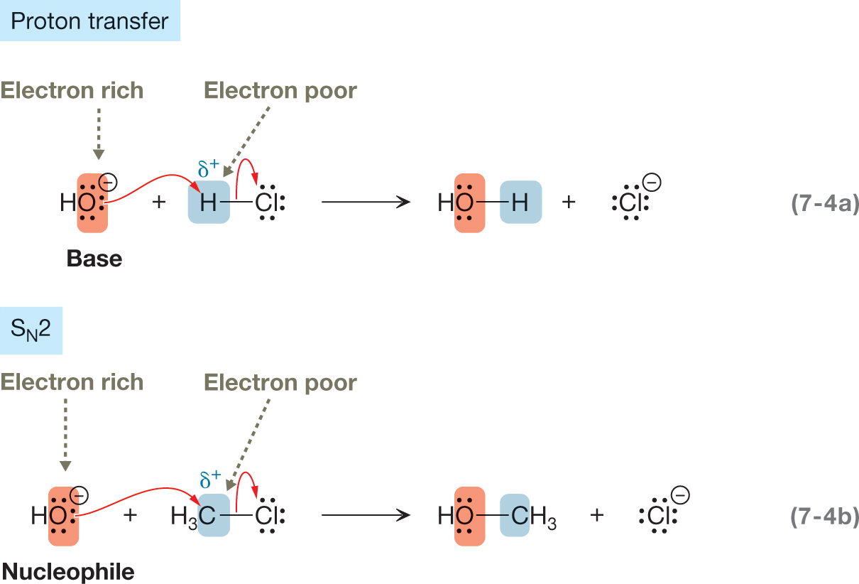 An illustration shows a proton transfer and SN 2 step to represent the flow of electrons from electron-rich to electron-poor site. The illustration on top is titled �proton transfer,� which shows an oxygen atom of hydroxyl group containing two lone pairs of electrons. It is marked with a negative sign, labeled �electron-rich,� acting as a base. It reacts with a hydrogen atom, marked delta plus, labeled �electron-poor� of the hydrochloride ion, with chloride ion containing three lone pairs of electrons. A curved arrow is drawn from an oxygen atom of the hydroxyl group with its head pointing toward the hydrogen atom single-bonded to a chlorine atom. Another curved arrow is drawn from a single bond between a hydrogen atom and a chloride with its head pointing toward chloride. The resultant shows an oxygen atom of hydroxyl group linked to a hydrogen atom by a single bond; and a negatively-charged chloride ion containing four lone pairs of electrons. The illustration at the bottom is titled �S N 2� shows an oxygen atom of a hydroxyl group containing two lone pairs of electrons carrying a negative charge and labeled �electron-rich,� acting as a nucleophile. It reacts with a methyl group, marked delta plus and labeled �electron-poor.� It is single-bonded to a chloride ion containing three lone pairs of electrons. A curved arrow from an oxygen atom of the hydroxyl group is drawn with its head pointing toward the carbon atom of the methyl group. Another curved arrow from the single bond between the methyl group and chloride is drawn with its head point toward chloride. The resultant shows an oxygen atom of the hydroxyl group linked to the carbon atom of the methyl group by a single bond; and a negatively-charged chloride ion containing four lone pairs of electrons.