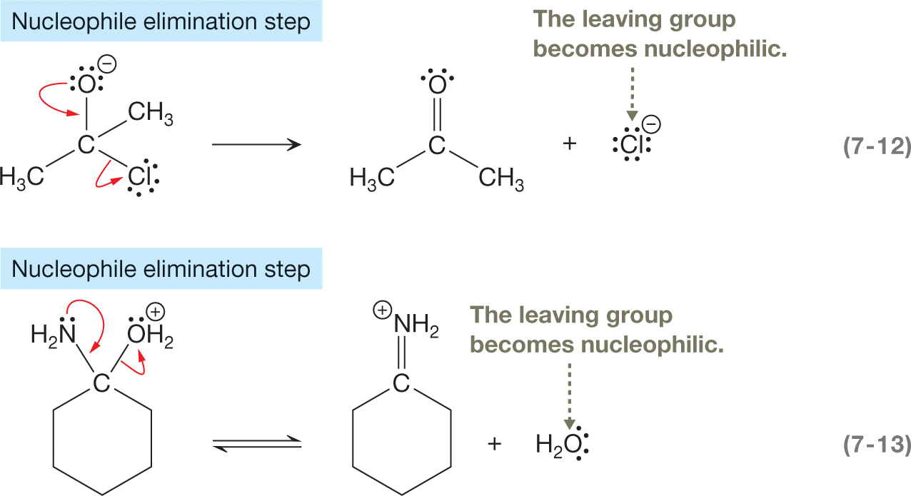 Two chemical reactions to show an example of a nucleophile elimination step. The first reaction shows a condensed structural formula of a compound with a central carbon atom linked to an oxygen atom carrying three lone pairs of electrons and a negative charge; two methyl groups; and a chlorine atom carrying three lone pairs of electrons by a single bond each, arranged in a tetrahedral arrangement. A curved arrow points from the oxygen atom toward a single bond connecting it to the central carbon atom while another curved arrow points from a single bond between the central carbon atom and chloride toward chloride. The resultants show a compound with a central carbon atom linked to an oxygen atom carrying two lone pairs of electrons by a double bond and two methyl groups by a single bond arranged in a trigonal planar arrangement. It also shows a chloride anion carrying four lone pairs of electrons, labeled the leaving group becomes the nucleophile. The second reaction shows a condensed structural formula of a compound as a six-ring structure, with carbon atom at its ipso-position linked to an amino group with the nitrogen atom of amino group carrying a lone pair of electrons; and a water molecule, with oxygen of a water molecule carrying a lone pair of electrons and a positive charge by a single bond each. It is followed by a reversible arrow to read a condensed structural formula of a compound as a six-ring structure, with the carbon atom at its ipso-position linked to an NH2 group by a double bond carrying a positive charge. It also shows a water molecule, with the oxygen atom in the water molecule carrying two lone pairs of electrons labeled, the leaving group becomes the nucleophile.