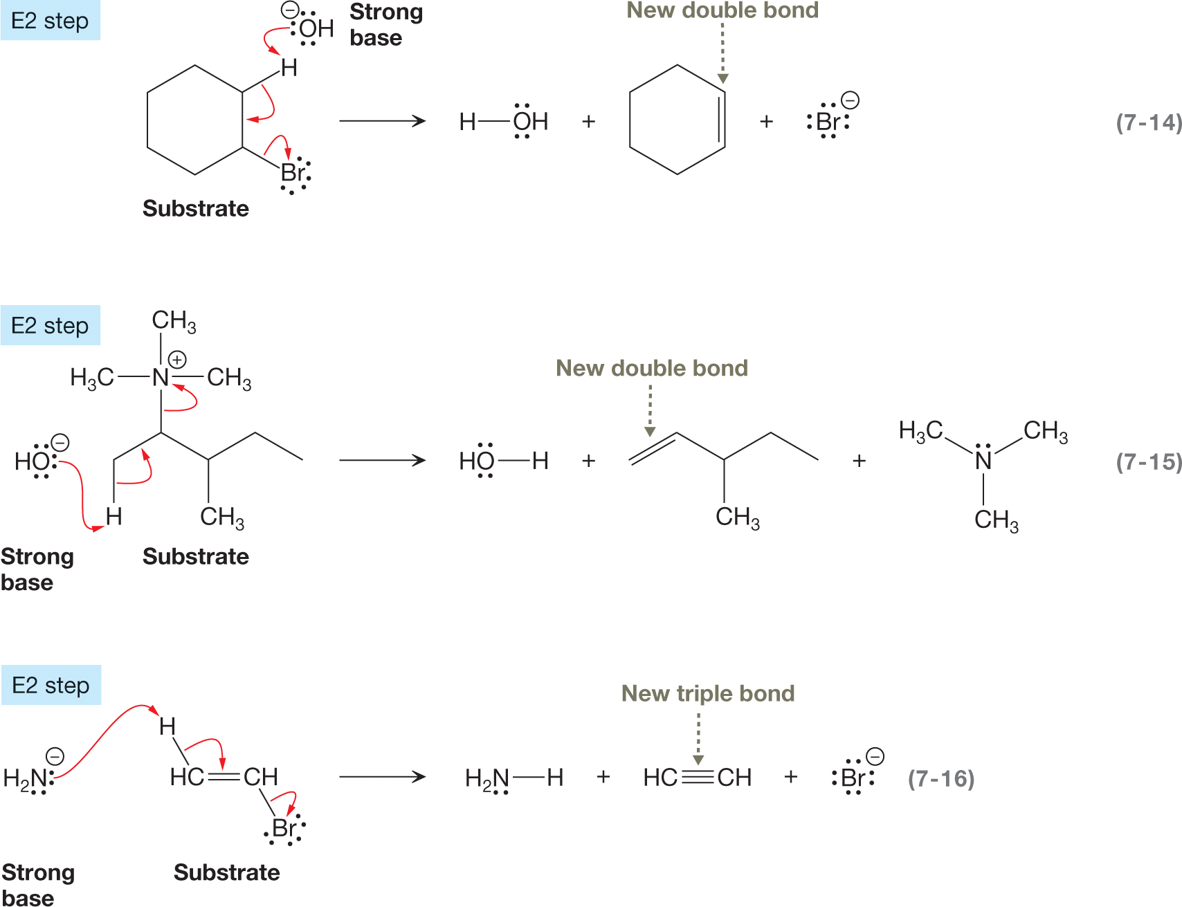 Three chemical reactions are shown to represent a bimolecular elimination step (E2), marked by three curved arrows. The first chemical reaction shows a closed six-ring structure, with a hydrogen atom at carbon-2 and bromine carrying three lone pairs of electrons at carbon-3 by a single bond each, labeled as a substrate. A hydroxyl group with an oxygen atom of the hydroxyl group carrying three lone pairs of electrons and a negative charge is labeled strong base. A curved arrow points from an oxygen atom of the hydroxyl group toward the hydrogen atom at carbon-2 while another curved arrow points from a single bond between carbon-2 and hydrogen toward a single bond between carbon 2 and 3. A third curved arrow points from a single bond between carbon-3 and bromine toward bromine. It is followed by a rightward arrow to show the release of a water molecule, with the oxygen of a hydroxyl group in the water molecule carrying two lone pairs of electrons; a closed six-ring structure, with a double bond between carbon-2 and 3, labeled as new bond; and a bromine anion carrying four lone pairs of electrons. The second chemical reaction shows a hydroxyl group with an oxygen atom of the hydroxyl group carrying three lone pairs of electrons and a negative charge labeled strong base. It is shown to react with a condensed structural formula of a compound made up of a chain of five-carbon atoms, with carbon-3 linked to a methyl group by a single bond, carbon-5 linked to a hydrogen atom by a single bond, and carbon-4 linked to a nitrogen atom carrying a positive charge by a single bond. The nitrogen atom is further linked to three methyl groups by a single bond each. A curved arrow points from an oxygen atom of a hydroxyl group toward hydrogen atom at carbon-5. Another curved arrow points from a single bond between carbon-2 and hydrogen toward single bond between a hydrogen atom and carbon-5 toward a single bond between carbon-4 and 5. A third curved arrow points from a single bond between carbon-4 and nitrogen toward nitrogen. The resultants show a release of a water molecule, with an oxygen atom of the hydroxyl group in the water molecule carrying two lone pairs of electrons; a chain of five-carbon atoms, with a double bond between carbon 1 and 2, labeled new bond and a methyl group linked to carbon-3 by a single bond; and a central nitrogen atom carrying a lone pair of electrons surrounded by three methyl groups linked by a single bond each. The third reaction shows the nitrogen atom of an amino group carrying two lone pairs of electrons with a negative charge, labeled strong base. It reacts with a substrate shown as two CH groups linked by a double bond. One of the CH groups connects to a hydrogen atom by a single bond while another connects to a bromine ion carrying two lone pairs of electrons. A curved arrow points from the nitrogen atom of an amino group toward hydrogen atom while another curved arrow points from a single bond between hydrogen and CH group toward a double bond between two CH groups. A third curved arrow points from a single bond between CH and bromine toward bromine. The resultants show a release of three compounds as an addition of a hydrogen atom to the nitrogen of an amino group carrying a lone pair of electrons by a single bond; the formation of triple between two CH groups; and a bromine anion carrying four lone pairs of electrons.