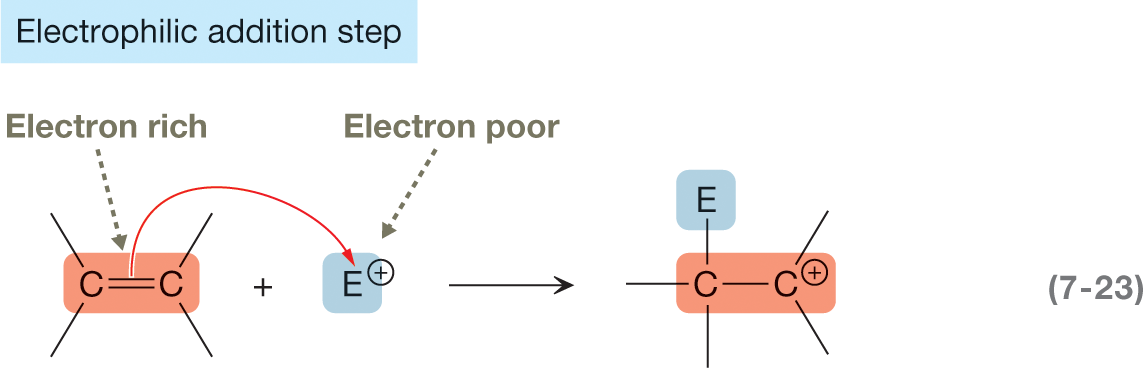 A chemical reaction shows an example of an electrophilic addition step emphasizing on the origin and termination of a curved arrow to represent the transfer of electrons. It shows two carbon atoms linked by a double bond, with each carrying two vacant single bonds and labeled electron-rich. It is shown to react with E carrying positive charge and labeled electron-poor. The resultant shows an addition of E to the first carbon atom and replacement of double bond between two carbon atoms by a single bond. The second carbon atom is shown carrying a positive charge.