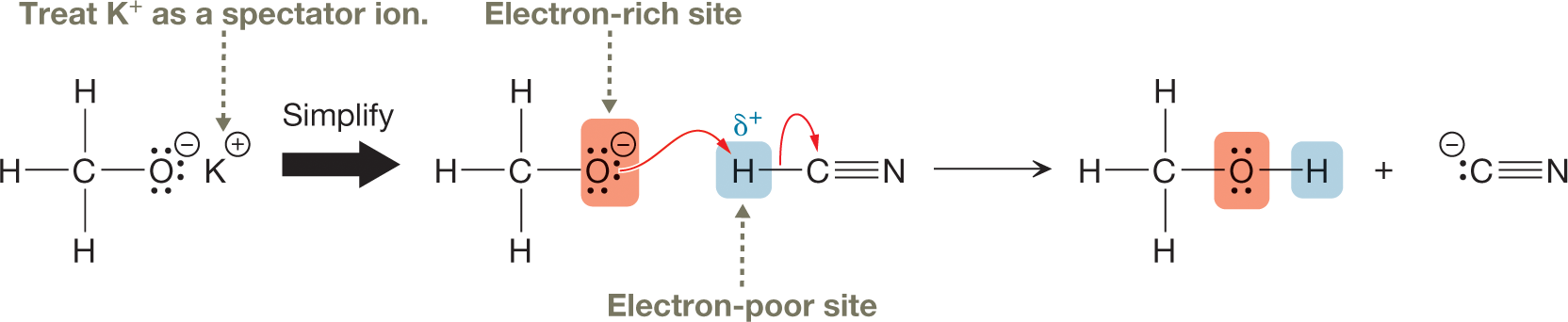 A three-part illustration shows an equation representing proton transfer between electron-rich and electron-poor sites in a reaction between potassium methoxide and hydrogen cyanide in a solution. The first part shows a condensed molecular structure of potassium methoxide, with a central carbon atom single-bonded to three hydrogen atoms and an oxygen atom, containing three lone pairs of electrons carrying a negative charge, and a potassium ion carrying a positive charge. The potassium ion is labeled, treat K cation as a spectator ion. It is further followed by a rightward arrow marked simplify. The second part shows a condensed structural formula of methoxide, with a negatively charged oxygen atom labeled electron-rich site and a condensed structural formula of hydrogen cyanide showing a central carbon atom single-bonded to a hydrogen atom, marked delta plus and labeled electron-poor site which is further triple-bonded to a nitrogen atom. A curved arrow is drawn from a negatively charged oxygen atom with its head pointing toward a partially positively charged hydrogen atom. Another curved arrow is drawn from a single bond between hydrogen and carbon with its head pointing toward the carbon atom of hydrogen cyanide. The third part of the illustration shows a condensed structural formula of a molecule representing a central carbon atom single-bonded to three hydrogen atoms and an oxygen atom, containing two lone pairs of electrons. The oxygen atom is further single-bonded to a hydrogen atom. A negatively charged carbon atom, containing a lone pair of electrons is attached to a nitrogen atom by a triple bond.