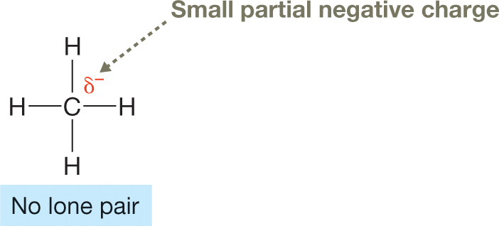 Lewis structure of methane. The structure shows a central carbon atom marked delta minus, labeled �small partial negative charge� surrounded by four single-bonded hydrogen atoms. The structure is labeled �no lone pair.�