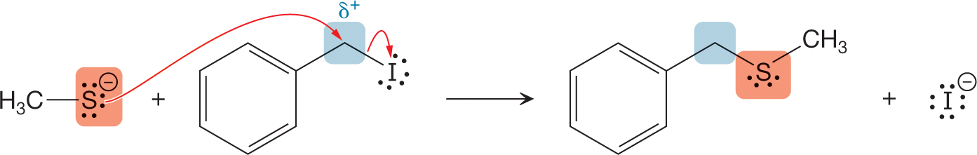 An illustration represents a nulcleophilic reaction between C6H5CH2I and CH3SNa. The reaction shows a methyl group single bonded to a sulfur atom carrying three lone pairs of electrons with negative charge. It reacts with C6H5CH2I shown as a condensed structural formula representing a benzene ring, with a CH 2 group, marked delta plus, linked to carbon atom at ortho-position by a single bond. It further connects to iodine containing three lone pairs of electrons. A curved arrow from sulfur is shown to point toward partially-positive charged carbon atom of carbon hydrogen 2 group. Another curved arrow between CH 2 group and iodine is shown to point toward iodine. The resultants show the condensed structural formula of a molecule represented as a benzene ring, with a CH 2 group, linked to carbon atom at ortho-position by a single bond. It further connects to a sulfur atom, containing three lone pairs of electrons, which is further single-bonded to a methyl group; and a negatively-charged iodine atom, containing four lone pairs of electrons.