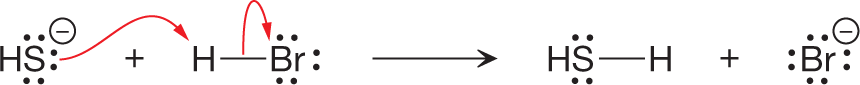 A two-part illustration shows the transfer of protons between electron-rich and electron-poor sites. The first part shows sulfhydryl anion, with sulfide of the sulfhydryl group containing three lone pairs of electrons, representing negative charge interacting with hydrogen atom of hydrogen bromide. The hydrogen atom of hydrogen bromide is single bonded to the bromide group, marked with three lone pairs of electrons. A curved arrow beginning from sulfur atom of sulfhydryl group points toward the hydrogen atom of hydrogen bromide. Another curved arrow is marked from a single bond between a hydrogen atom and bromide ion of HBr pointing toward bromide ion. The second part shows sulfur atom of sulfhydryl group containing two lone pairs of electrons single bonded to a hydrogen atom and a bromide anion containing four lone pairs of electrons.