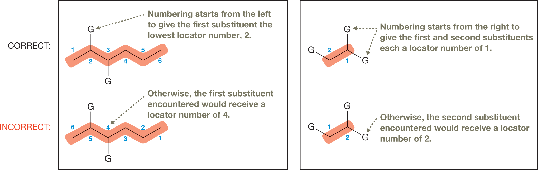 Four skeletal structural formulas show the correct and incorrect manner of numbering carbon chains. The illustration is divided into two boxes, each with two skeletal structural formulas placed one above the other. The structures on the top are correct, while the ones below are the incorrect versions. In the first box, each structure shows a zigzag line with three troughs and three crests. A substituent G is bonded to the atom at the first crest from the left, and another substituent G is bonded to the second trough from the left. In the first structure, the carbon atoms are numbered 1 to 6 from left to right. An arrow pointing to the substituent in the second position reads, �Numbering starts from the left to give the first substituent the lowest locator number, 2.� In the second structure, the carbon atoms are numbered 1 to 6 from right to left. An arrow pointing to the substituent in the fourth position reads, �Otherwise, the first substituent encountered would receive a locator number of 4.� In the second box, each structure shows a zigzag line with two crests and two troughs. Each end of the chain is occupied by a substituent G. A substituent is also bonded to the atom at the first crest from the right. In the first structure, the carbon atoms are numbered 1 and 2 from right to left. An arrow pointing to the substituent groups reads, �Numbering starts from the right to give the first and second substituents each a locator number of 1.� In the second structure, the carbon atoms are numbered 1 and from left to right. An arrow pointing to the substituent at the end of the chain reads, �Otherwise, the second substituent encountered would receive a locator number of 2.�