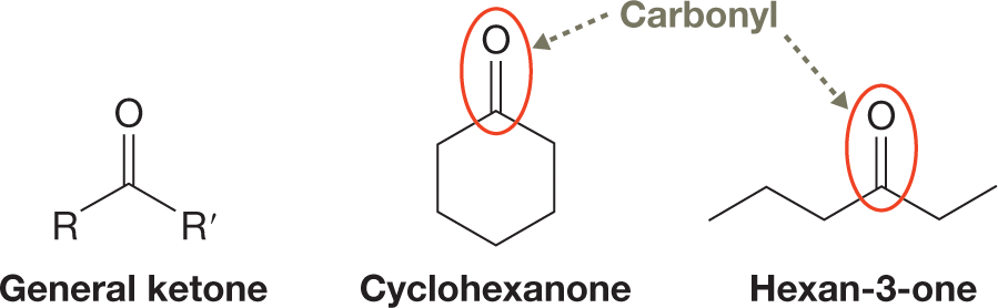 Three illustrations: first shows a general ketone; second is cyclohexanone and third is hexan-3-one. The condensed structure of ketone shows a central carbon atom is double bonded to an oxygen atom and single bonded to an R group and an R� group. The condensed structure of cyclohexanone shows a cyclohexane with one of its carbon atoms double bonded to an oxygen atom. The skeletal structure of hexan-3-one shows a linear chain of six carbon atoms arranged in zigzag pattern with the third carbon atom double bonded to an oxygen atom. The carbon oxygen double bond in second and third structures are circled and labeled as, �Carbonyl�. 