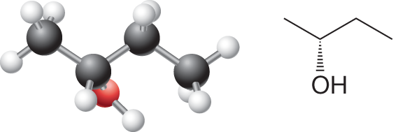 Two structures show the ball-and-stick model and dash-wedge representation of butan-2-ol. The ball-and-stick model shows four carbon atoms bonded together in a zigzag fashion. Carbon 2 is bonded to a hydroxyl group where the C-O bond points away from the reader. The dash-wedge representation shows a zigzag line with two crests and two troughs. A dash bond connects the atom in the second position to a hydroxyl group. 