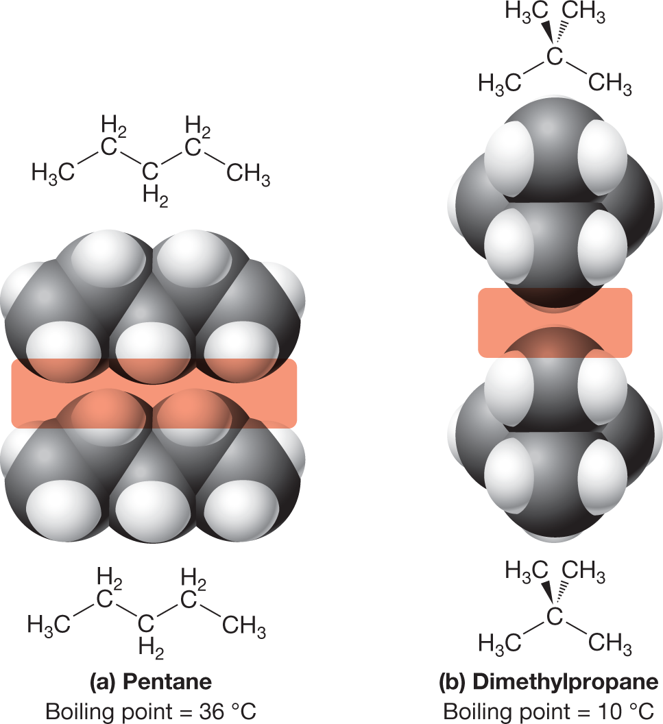 The condensed structural formulae and space-filling models of a pair of pentane molecules and dimethylpropane molecules with their contact surface area highlighted. The first illustration shows the structure of two molecules of pentane, one above the other, with the space-filling models in between. The structure shows a five-carbon chain with carbons 1 and 5 each bonded to three hydrogen atoms, and carbons 2, 3, and 4 each bonded to two hydrogen atoms. The space between the two pentane structures is highlighted as a wide rectangle. The caption reads, �(a) Pentane: Boiling point equals 36 degree Celsius�. The second illustration shows the structure of two molecules of dimethylpropane, one above the other, with the space-filling models in between. The structure shows a three-carbon chain with carbons 1 and 3 each bonded to three hydrogen atoms, and carbon 2 bonded to two methyl groups, one pointing away from the reader and one pointing toward. The space between the two dimethylpropane structures is highlighted as a small rectangle. The caption reads, �(b) Dimethylpropane: Boiling point equals 10 degree Celsius�.