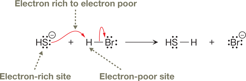 A two-part illustration shows the transfer of protons between electron-rich and electron-poor sites. The first part shows sulfhydryl anion, with sulfide of the sulfhydryl group containing three lone pairs of electrons, representing negative charge interacting with hydrogen atom of hydrogen bromide. The sulfur atom is labeled �Electron-rich site�. The hydrogen atom of hydrogen bromide is single bonded to the bromide group, marked with three lone pairs of electrons. The hydrogen atom is labeled �Electron-poor site�. A curved arrow beginning from sulfur atom of sulfhydryl group points toward the hydrogen atom of hydrogen bromide and labeled �Electron rich to electron poor�. Another curved arrow is marked from a single bond between a hydrogen atom and bromide ion of HBr pointing toward bromide ion. The second part shows sulfur atom of sulfhydryl group containing two lone pairs of electrons single bonded to a hydrogen atom and a bromide anion containing four lone pairs of electrons.